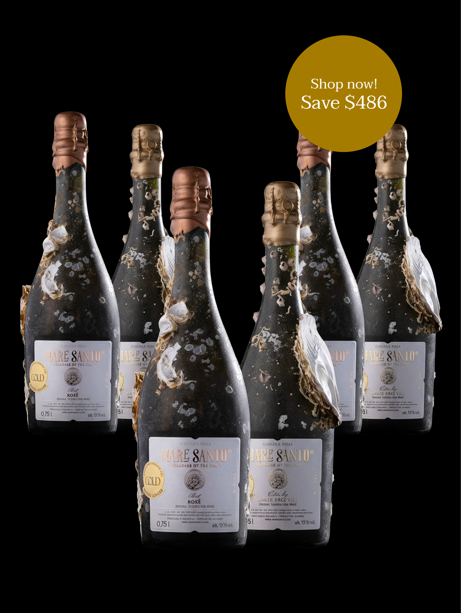 Group_162.png?v=1760626135&