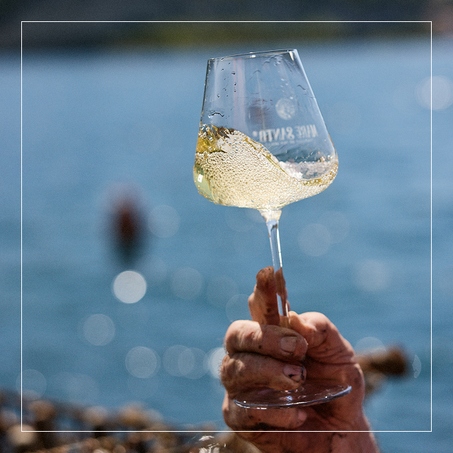 Mare Santo Cuvée Prestige | Mare Santo Sparkling Wine – Mare Santo Mare Santo Cuvée Prestige | Mare Santo Sparkling Wine – Mare Santo